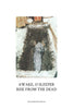 Issue 27